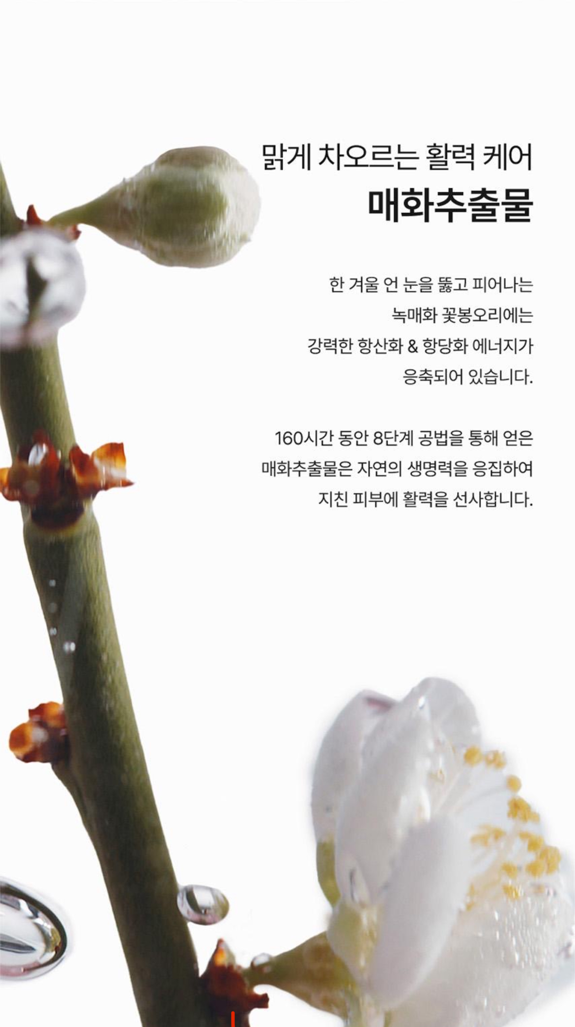 자음유액 상세이미지 4