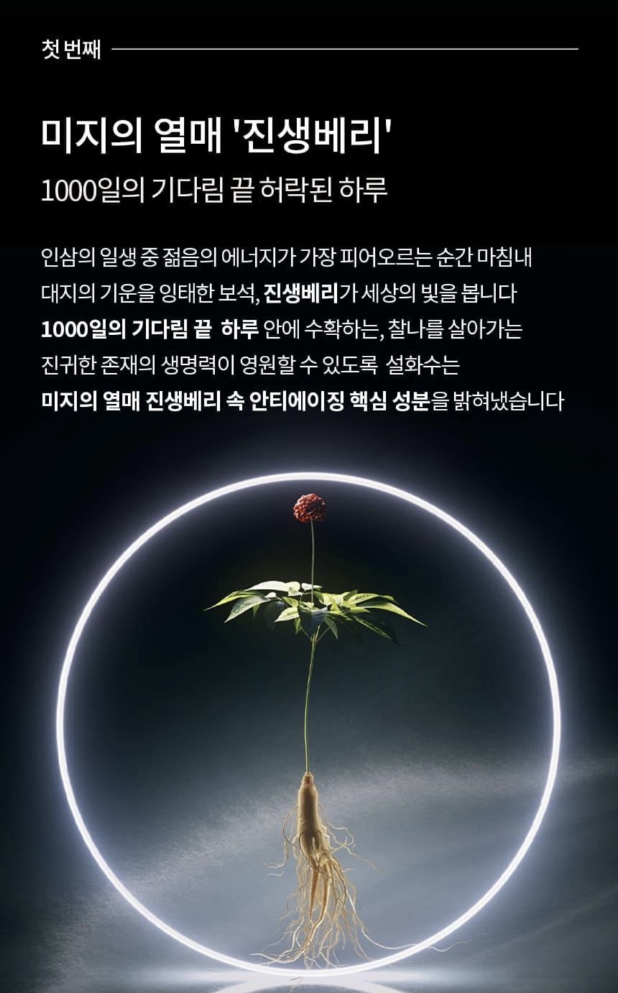진설아이크림 상세정보 6