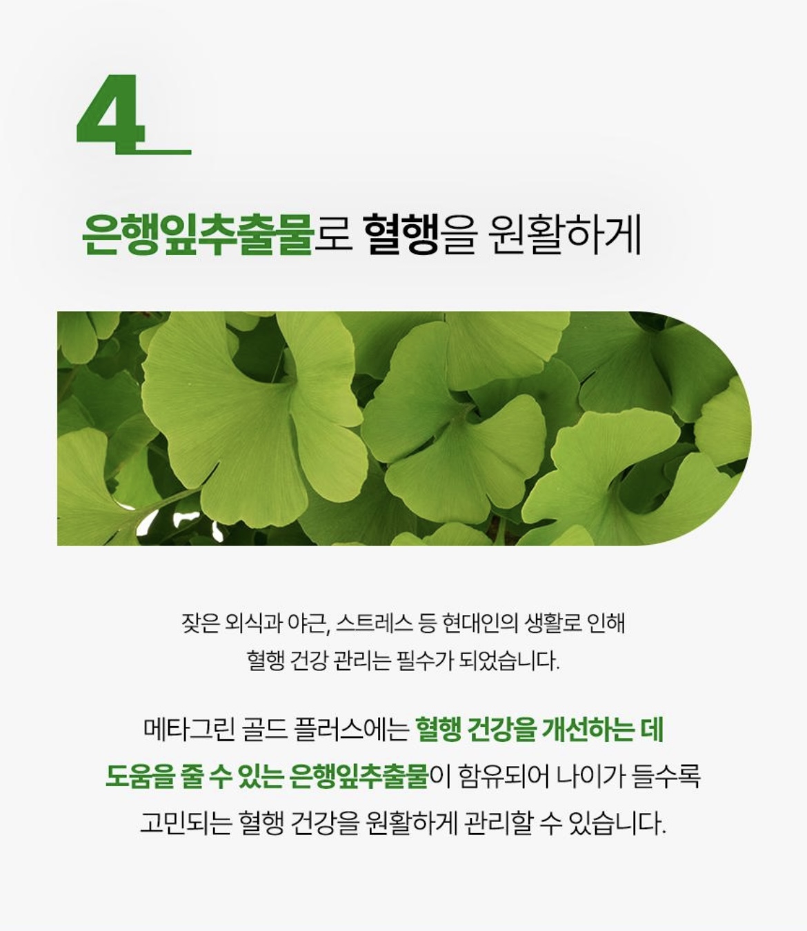 메타그린 골드 상세정보 7