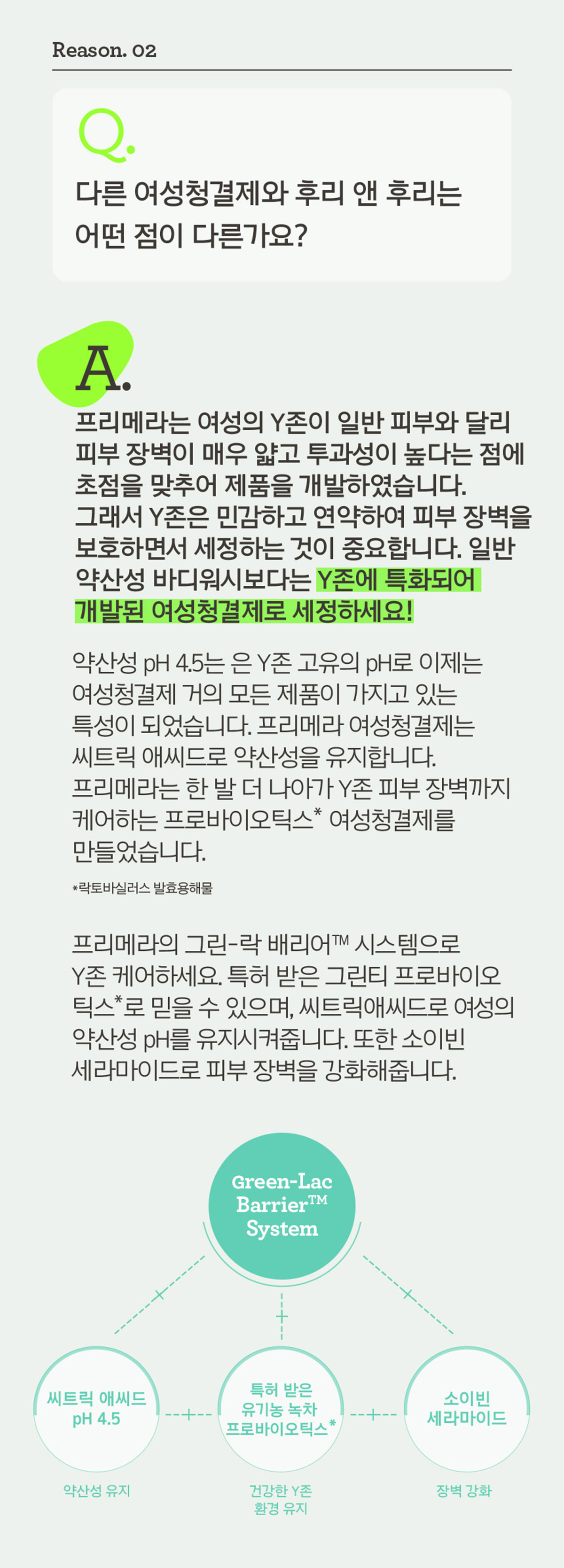 프리메라 후리&후리 상세정보 3