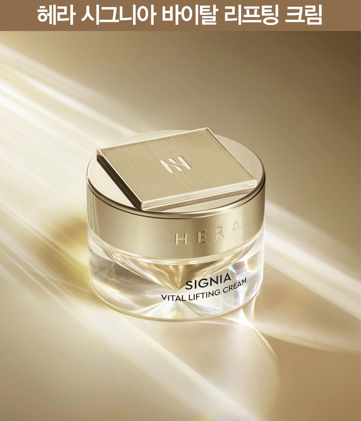 시그니아 크림 상세정보 3