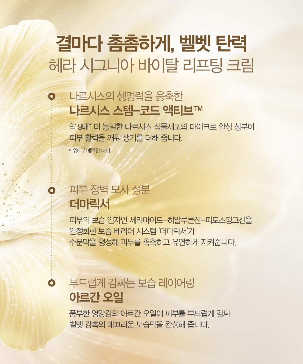 시그니아 크림 상세정보 4