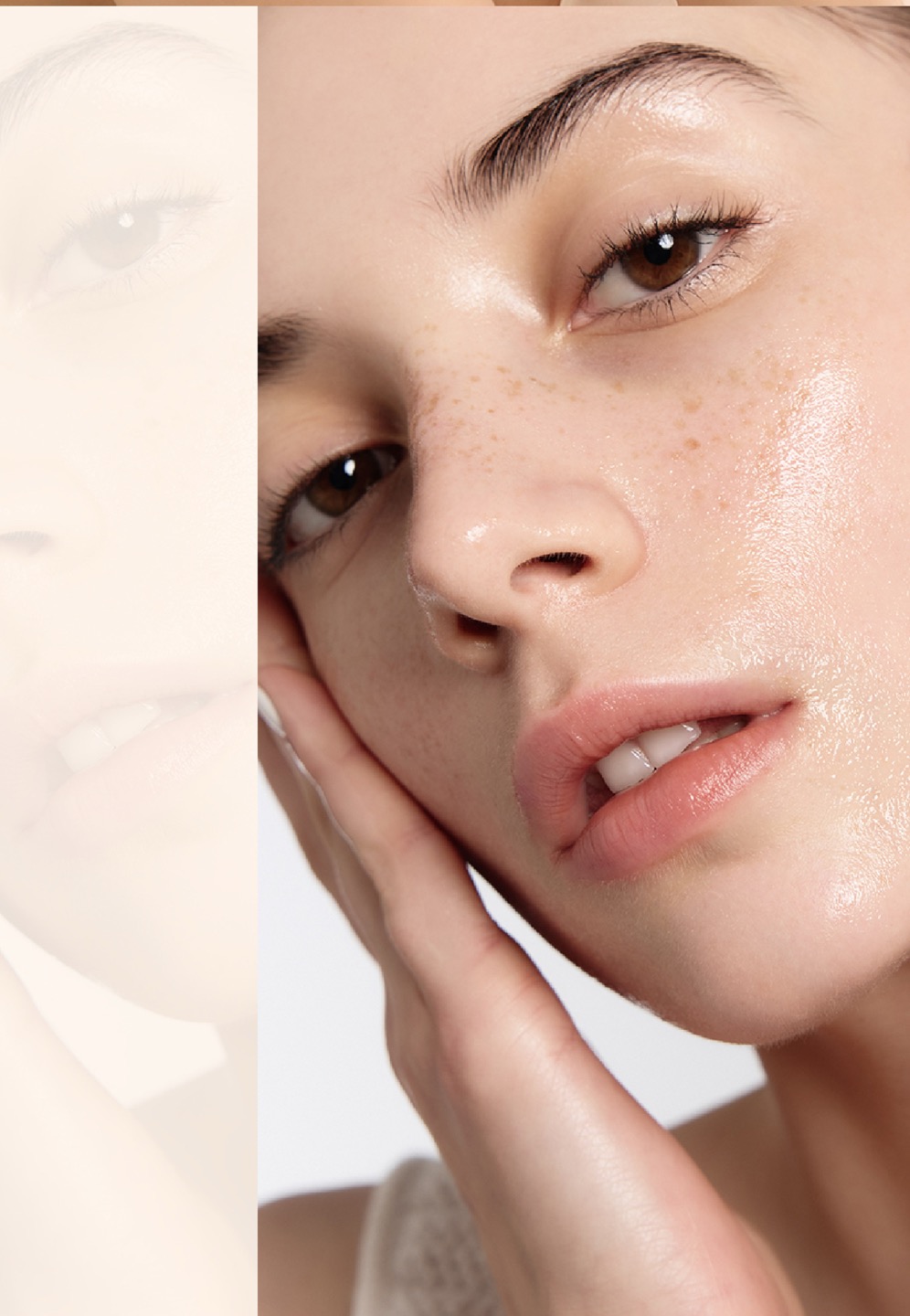 순행클렌징 오일 상세정보 2