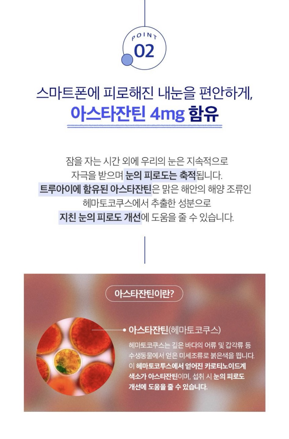 트루아이 상세정보 8